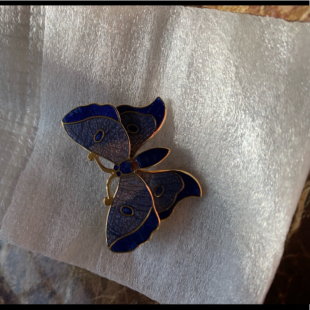 🦋Butterfly pin🦋